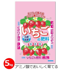 いちごの肥料 8-8-8 5kg 肥料 イチゴ 専用肥料 粒状 アミノ酸配合 畑 農業 園芸 ガーデニング