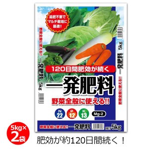 一発肥料 野菜全般用 5kg×2袋 10kg 肥料 野菜 肥効約120日 長期効果 簡単 家庭菜園 畑 園芸