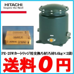 日立 井戸ポンプ用浄水器 井戸水 浄水器 ろ過器 Wカートリッジ用交換ろ材 E-25FX【対応機種：PE-2