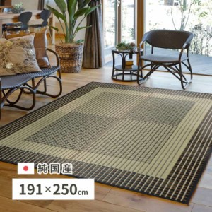 国産 い草ラグ 栄山 約191×250cm センターラグ アクセントラグ モダン 萩原 ※北海道追加送料 沖縄・離島別途送料見積もり メーカーより