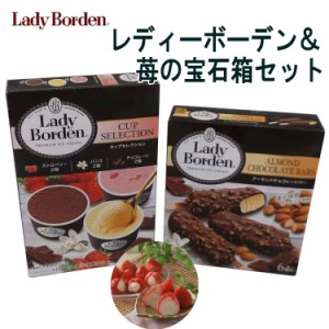 レディーボーデン＆苺の宝石箱セット アイスクリーム 苺の芯をくり抜いてアイスを絞り入れた苺アイスとレディーボーデンの2種類のマルチ