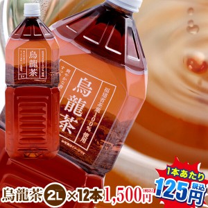 お茶 ペットボトル|烏龍茶2L×12本(1本当り125円|九州・中国送料無料)ウーロン茶 トライアルカンパニープライベートブランド