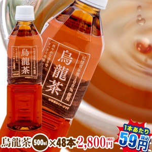 お茶 ペットボトル|烏龍茶500ml×48本【送料無料！】福建省産茶葉100％ ウーロン茶 トライアルカンパニープライベートブランド