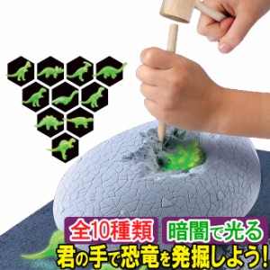 京商 おもちゃ Discovery ほりだせダイナソー！発掘KIT 恐竜 ホビー 知育玩具