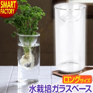 鉢 ガラス鉢 花瓶 BULB VASE 水栽培ガラスベース クリア 水耕栽培 球根栽培 ロングサイズ 送料無料