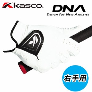 即納あり(右手用)キャスコ　KASCO　DNA SUEDE　メンズゴルフグローブ　SF-2010R　スウェード　男性用　2021年モデル　[メール便可能](セ