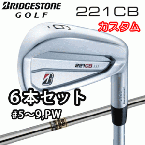 (カスタム)ブリヂストンゴルフ　221CB　アイアン　6本セット(#5〜9、PW)　Dynamic Gold シャフト(スチール)　ダイナミックゴールド　BRID