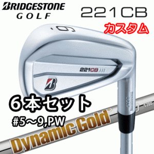 (カスタム)ブリヂストンゴルフ　221CB　アイアン　6本セット(#5〜9、PW)　Dynamic Gold 120 シャフト(スチール)　ダイナミックゴールド10