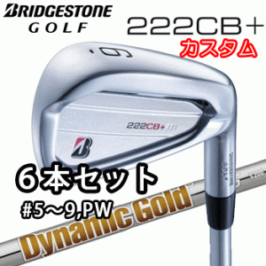 (カスタム)ブリヂストンゴルフ　222CB+　アイアン　6本セット(#5〜9、PW)　Dynamic Gold 105 シャフト(スチール)　ダイナミックゴールド