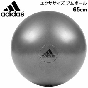 バランスボール アディダス adidas エクササイズ ジムボール ポンプ付き 最大時直径65cm/トレーニング フィットネス 体幹 インナーマッス