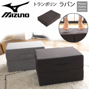 トレーニング用品 エクササイズ グッズ ミズノ mizuno トランポリン ラパン TRAMPOLINE lapin/体幹 フィットネス 室内用 宅トレ 全身運動