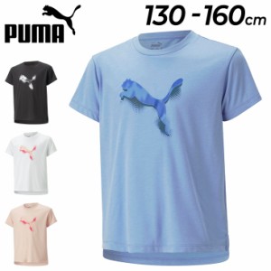 プーマ キッズ 半袖 Tシャツ 女の子 ガールズ PUMA MODERN SPORTS Tee/ジュニア 130-160cm 子供服 スポーツウェア プリントT 半袖シャツ 