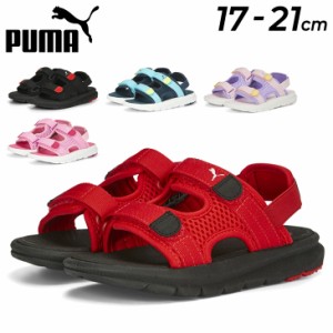 キッズ スポーツサンダル 17-21cm ジュニア 子供靴 ジュニアスニーカー キッズスニーカー/プーマ PUMA エボルブ サンダル PS/子ども こど