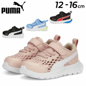 プーマ ベビー キッズ スニーカー 12-16cm 子供靴 くつ クツ キッズスニーカー/PUMA エボルブ ラン サマー AC インファント/スポーツ  サ