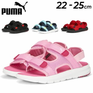 プーマ ジュニア スポーツサンダル 22-25cm 子供靴/PUMA エボルブ サンダル JR/キッズ 子ども スポーティ  男の子 女の子 サマーシューズ