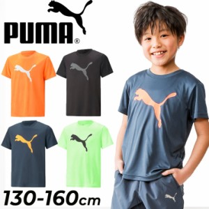 プーマ 半袖 Tシャツ 男の子 130-160cm 子供服 PUMA ACTIVE SPORTS プリントT スポーツウェア ビッグロゴ 吸水速乾 ドライ こども 男児  