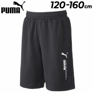 プーマ ハーフパンツ 120-160cm 子供服 PUMA グラフィックショーツ トレーニング スポーツウェア ショートパンツ 短パン 子ども 半ズボン