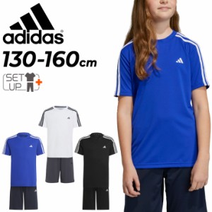 アディダス キッズ 半袖Tシャツ ハーフパンツ 上下 140-160cm 子供服 adidas ジュニア トレーニング スポーツウェア セットアップ 運動 