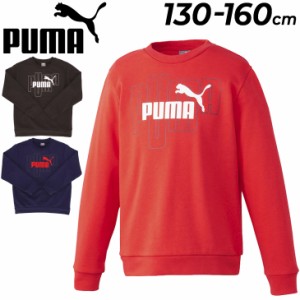 プーマ キッズ トレーナー スウェット PUMA グラフィック クルー TR ジュニア 130-160cm 子供服 裏毛タイプ スウェットシャツ クルーネッ