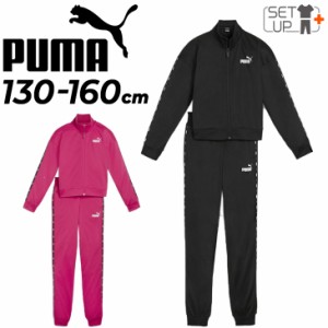 プーマ キッズ ジャージ 上下 女の子 PUMA ESS テープスーツ 130-160cm 子供服 ジャケット パンツ セットアップ スポーツウェア ウエア 