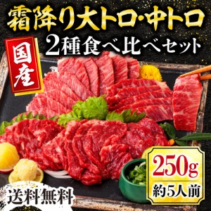 馬刺し 熊本 国産 極上霜降り2種食べ比べセット 約5人前 250g 中トロ 大トロ 送料無料 利他フーズ 食べ物 父の日 ギフト