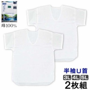 肌着 メンズ 半袖 大きい サイズ 2枚組 Uネック Tシャツ インナー クレープ 綿100％ホワイト