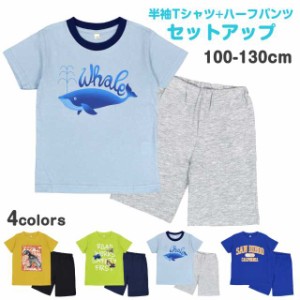 半袖 Ｔシャツ 上下セット 子供 キッズ クジラ 男の子 綿100％ セットアップサックス-C