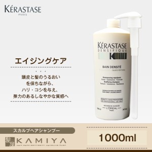 ケラスターゼ DS バン デンシフィック 1000ml 業務用 ポンプ付|スカルプヘアシャンプー 美容院専売