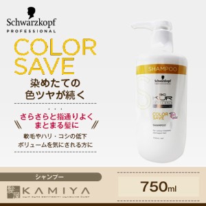 シュワルツコフ BC クア カラーセーブ シャンプー 750ml|シュワルツコフ シャンプー 褪色防止 髪色キープ 色持ち 艶 つや カラーヘア用  