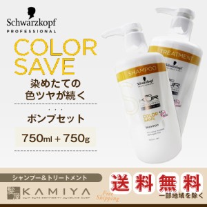 シュワルツコフ BC クア カラーセーブ シャンプー 750ml＋トリートメント 750g 計2個 ポンプセット|シュワルツコフ シャンプー シュワル