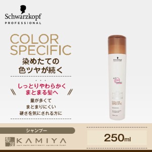 シュワルツコフ BC クア カラー スペシフィーク シャンプー 250ml||シュワルツコフ シャンプー 褪色防止 髪色キープ 色持ち 艶 つや カラ