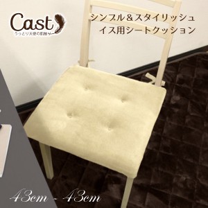 クッション シートクッション うっとり肌触りの無地イス用 在宅勤務 新Cast アイボリー 約43×43cm