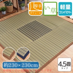 い草 ラグ カーペット 4.5畳 約230×230cm ウレタン入り ふっくら 天然素材 夏用 チェック ブロックチェック イ草 上敷き ござ マット 花