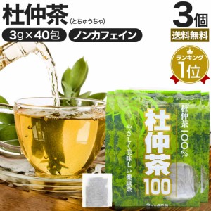 杜仲茶100袋タイプ 3g×40包×3個セット 送料無料 宅配便 | 杜仲茶 とちゅう茶 茶葉 ティーパック ダイエット ダイエット食品 ダイエット