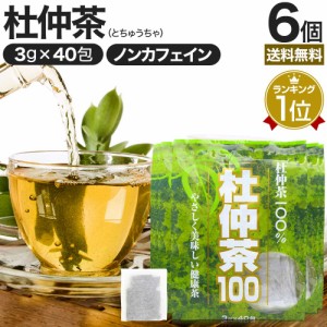 杜仲茶100袋タイプ 3g×40包×6個セット 送料無料 宅配便 | 杜仲茶 とちゅう茶 茶葉 ティーパック ダイエット ダイエット食品 ダイエット