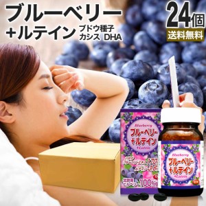 ブルーベリー＋ルテイン粒 60球×24個セット 約720日分 送料無料 宅配便 | ルテイン ビルベリー ブルーベリー アントシアニン カシス エ