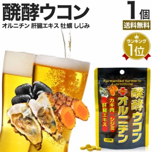 醗酵ウコン＋オルニチン 180粒 約22〜30日分 送料無料 メール便 | ウコン うこん 秋ウコン ウコン粒 発酵ウコン クルクミン しじみ しじ