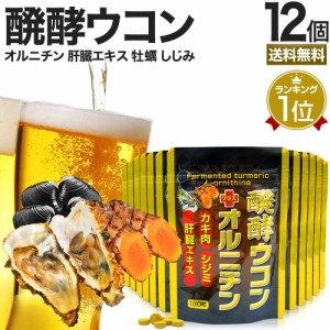 醗酵ウコン＋オルニチン 180粒×12個セット 約264〜360日分 送料無料 宅配便 | ウコン うこん 秋ウコン ウコン粒 発酵ウコン クルクミン 