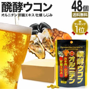 醗酵ウコン＋オルニチン 180粒×48個セット 約1056〜1440日分 送料無料 宅配便 | ウコン うこん 秋ウコン ウコン粒 発酵ウコン クルクミ