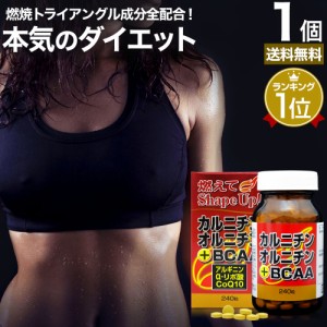 カルニチン・オルニチン＋BCAA 240粒 約30〜40日分 送料無料 宅配便 | ダイエット サプリ サプリメント ダイエット食品 ダイエットサプリ