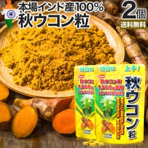 秋ウコン粒 220粒×2個セット 約44〜60日分 送料無料 メール便 | ウコン うこん 秋ウコン ウコン粒 ウコンエキス末 ウコンサプリ ウコン