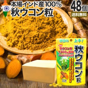 秋ウコン粒 220粒×48個セット 約1056〜1440日分 送料無料 宅配便 | ウコン うこん 秋ウコン ウコン粒 ウコンエキス末 ウコンサプリ ウコ