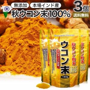 ウコン末 160g×3個セット 約53〜80日分 送料無料 宅配便 | ウコン うこん 秋ウコン 秋 ウコン粉末 うこん粉末 粉末ウコン 秋ウコン粉末 