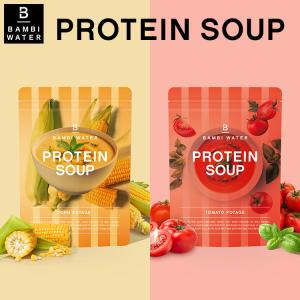 エメプロテイン　チョコ　6個セット　シェーカー不要 Amazon | エメプロ 15食分 AimeProteinエメプロテイン 完全栄養