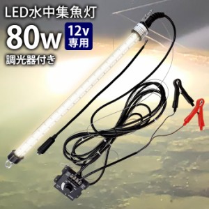 LED 水中集魚灯 LED集魚灯 水中ライト 水中灯 12V用 集魚ライト 80w  電球色 暖色 ライト 船舶ライト 船舶 釣り ledライト 釣果 シラスウ