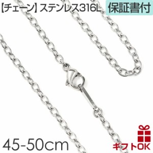 ステンレス チェーン アズキ アンカー サージカルステンレス 316 ハワイアンジュエリー ネックレス 【スティールカラー 45-50cm】 2mm 2.