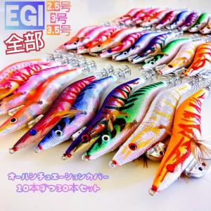 セフィアのケース付き　エギ番長14個セット シマノ シマノ(Shimano) セフィア(Sephia) システマティックエギ
