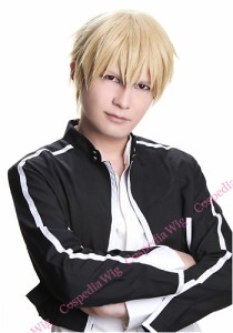 Fate/stay night　ギルガメッシュ 風 ウィッグ　キャラウィッグ　コスプレウィッグ　フルウィッグ　コスプレ　耐熱