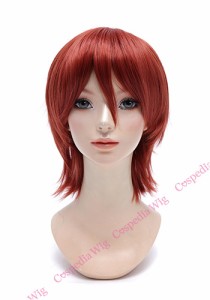 【即納】アレンジショート　ブラッドレッド　ショート コスプレウィッグ コスプレ ウィッグ wig コスウィッグ 耐熱 ハロウィン