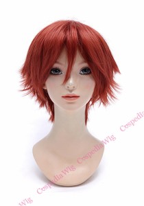 【即納】レイヤーショート　ブラッドレッド　ショート コスプレウィッグ コスプレ ウィッグ wig コスウィッグ 耐熱 ハロウィン